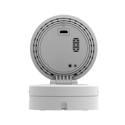 D-Link DCS-8100LH, Видеонаблюдение